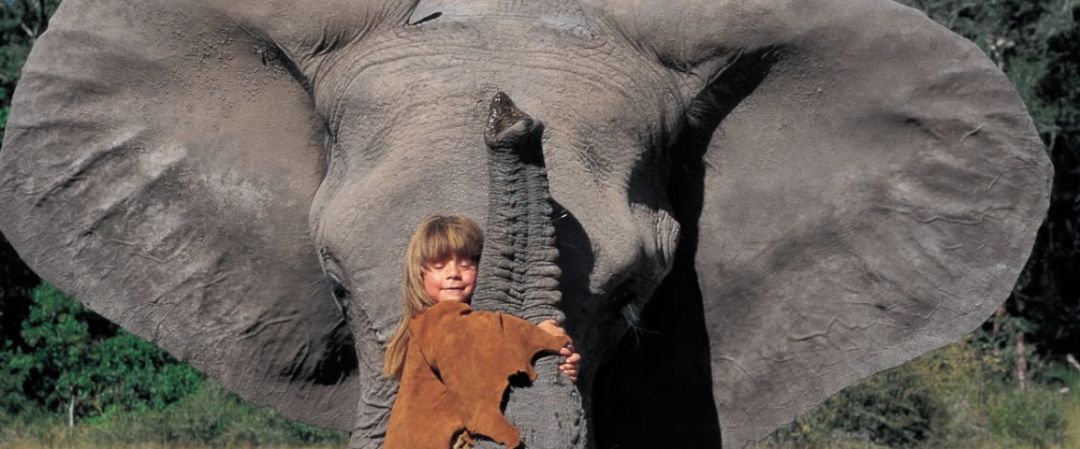 即使蒂皮与野生动物能达到这么亲密的程度,也在她的书与纪录片中反复