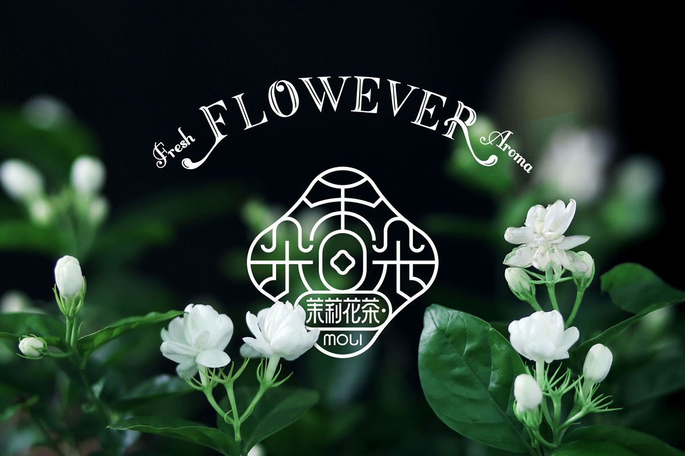香朵朵茉莉花茶logo设计flowever品牌推广设计tigerpanpackaging