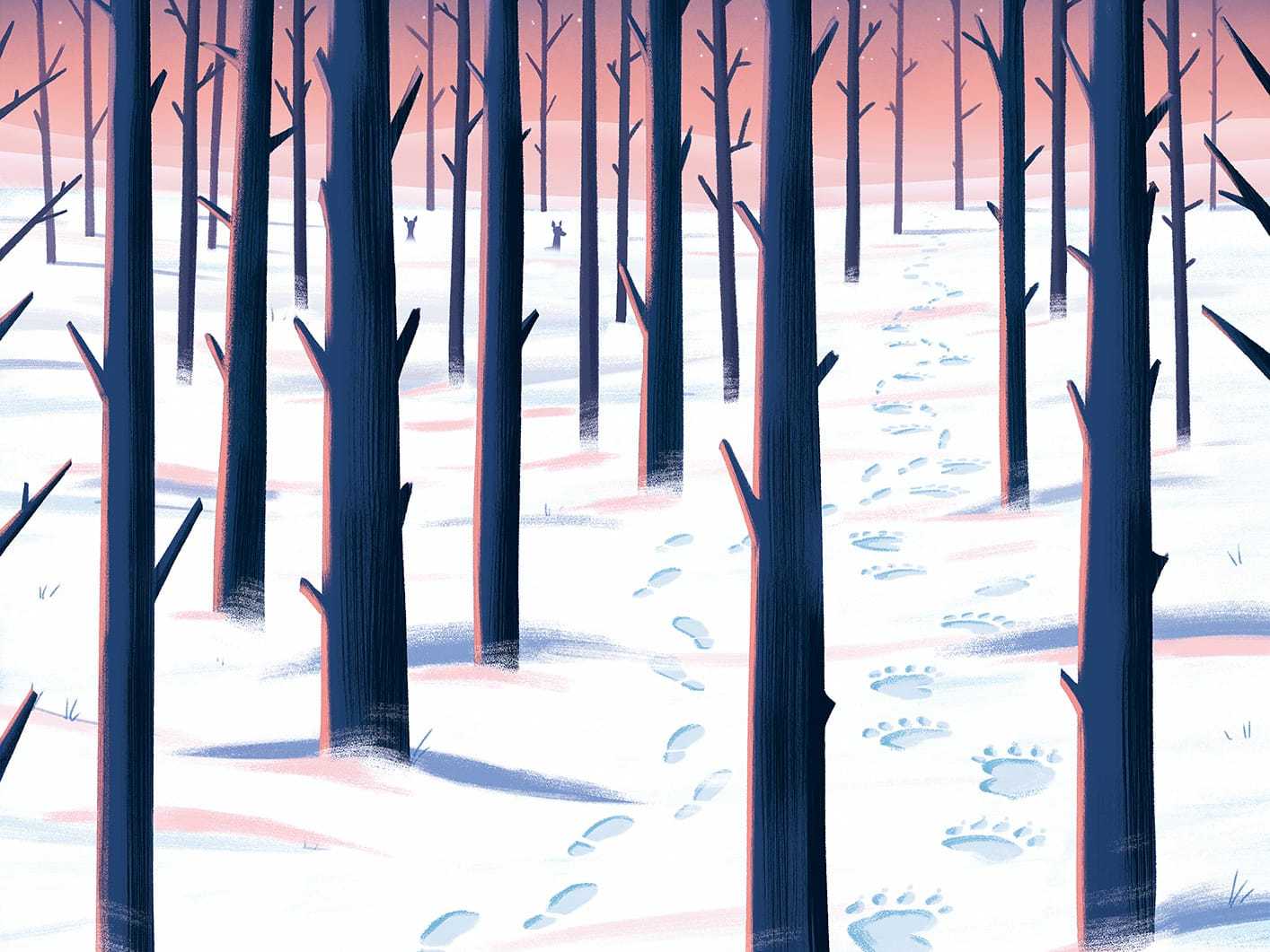 南非设计师tomclohosycole的插画作品不仅构图独到笔触细腻