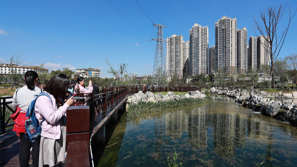 贵阳七彩湖生态湿地公园被媒体称赞