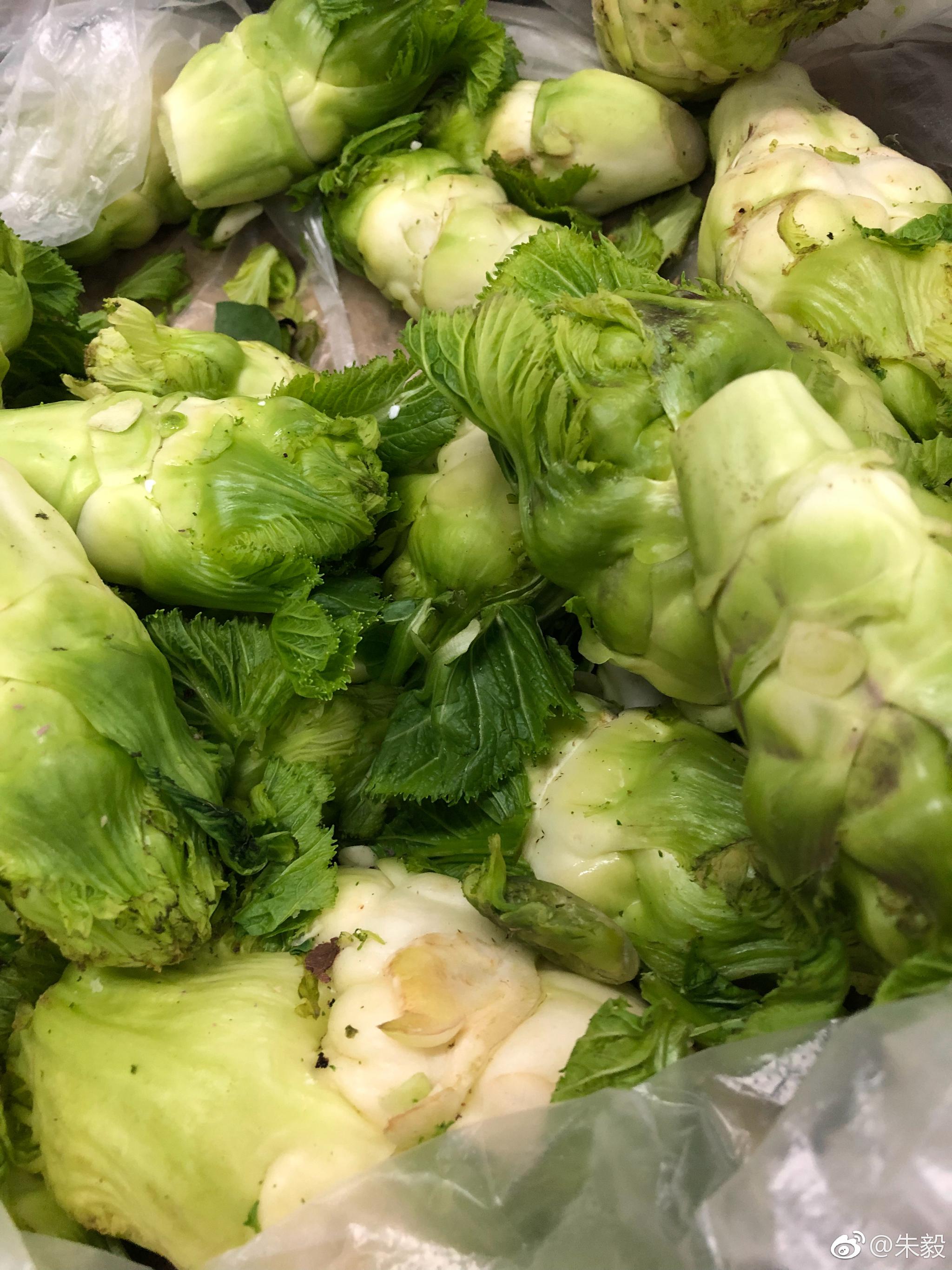 吃过没|可爱|名字|木姜子油_新浪新闻