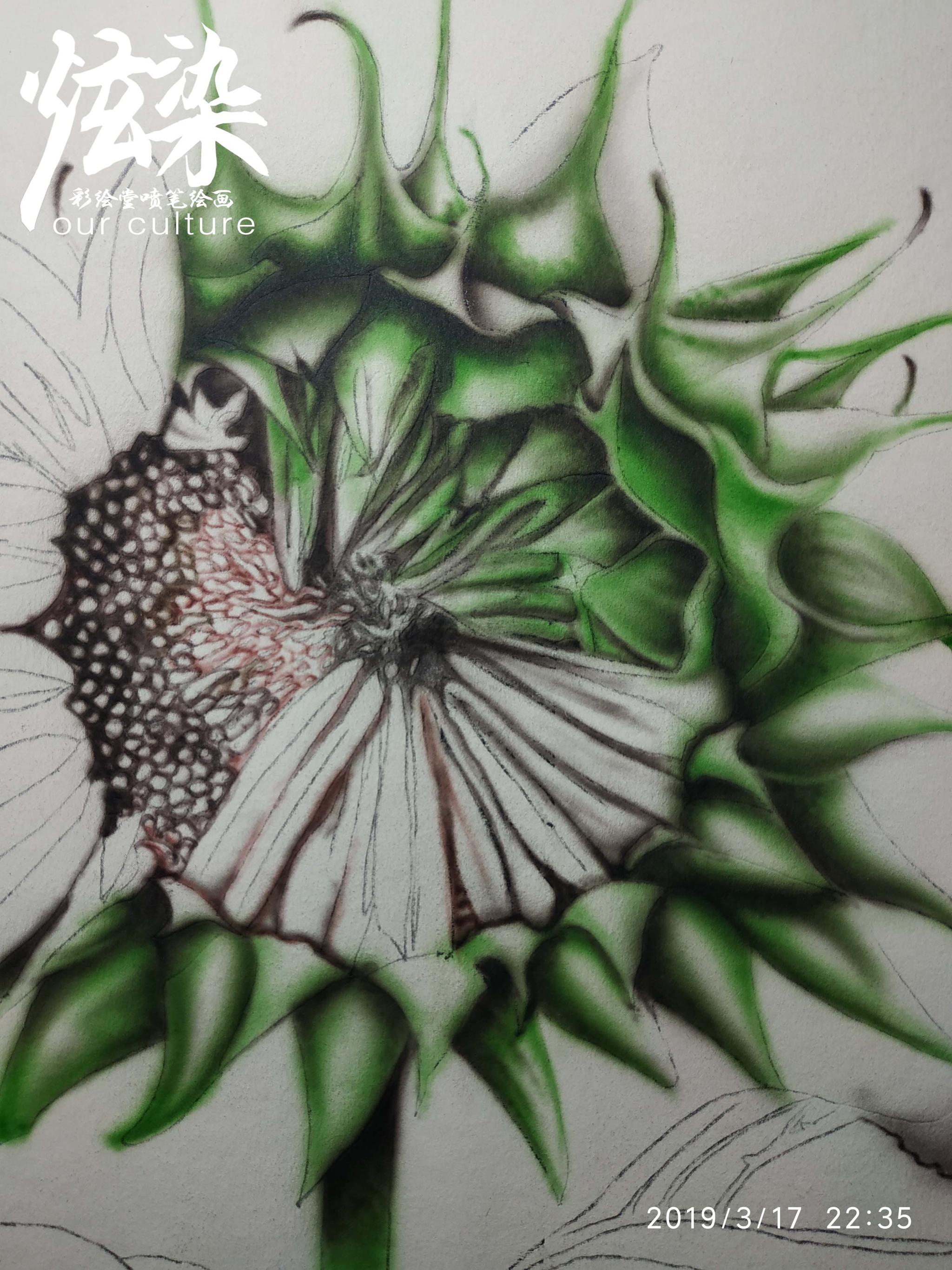 杰哥喷笔彩绘模板直喷绘画学员花卉练习炫染彩绘堂出品