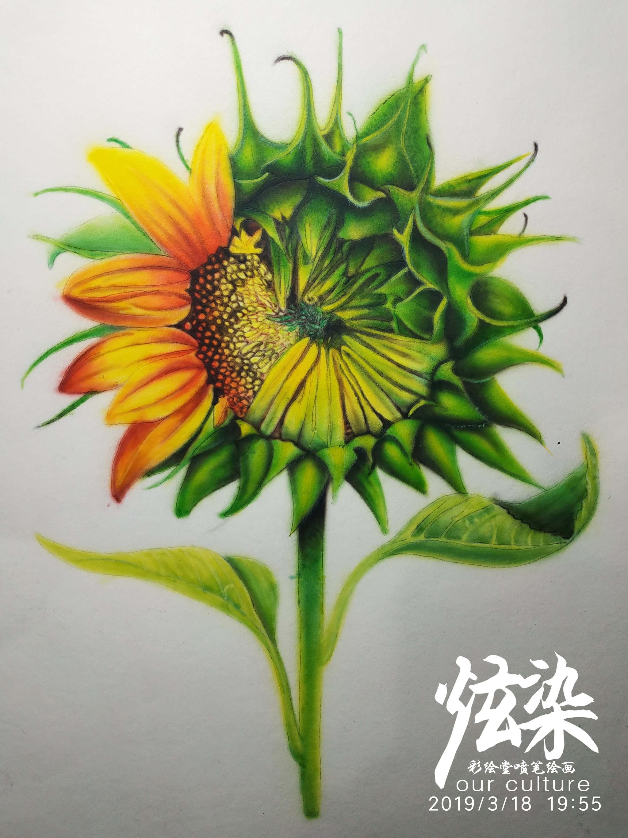 杰哥喷笔彩绘模板直喷绘画-学员花卉练习(炫染彩绘堂出品)