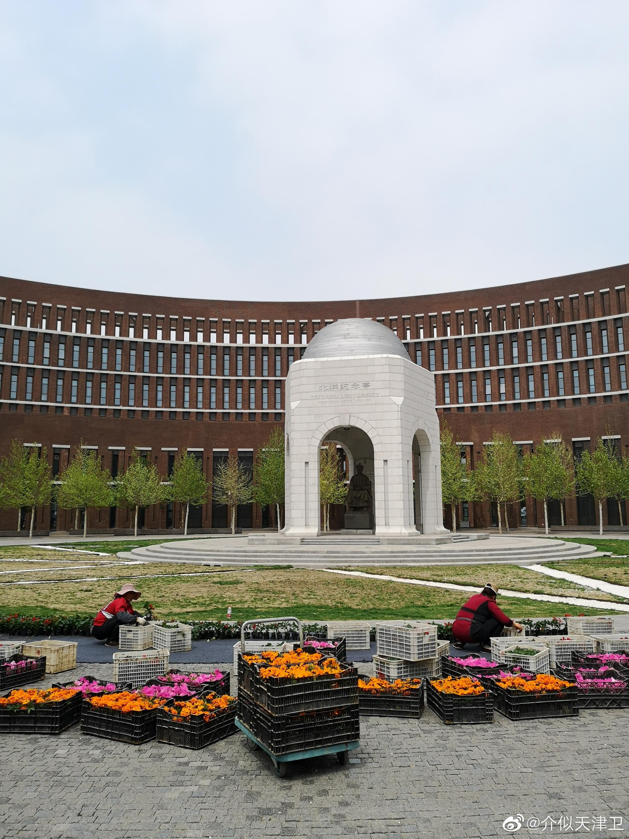 春天来天大北洋校区遛一遛北洋校区远比我想象的还要大
