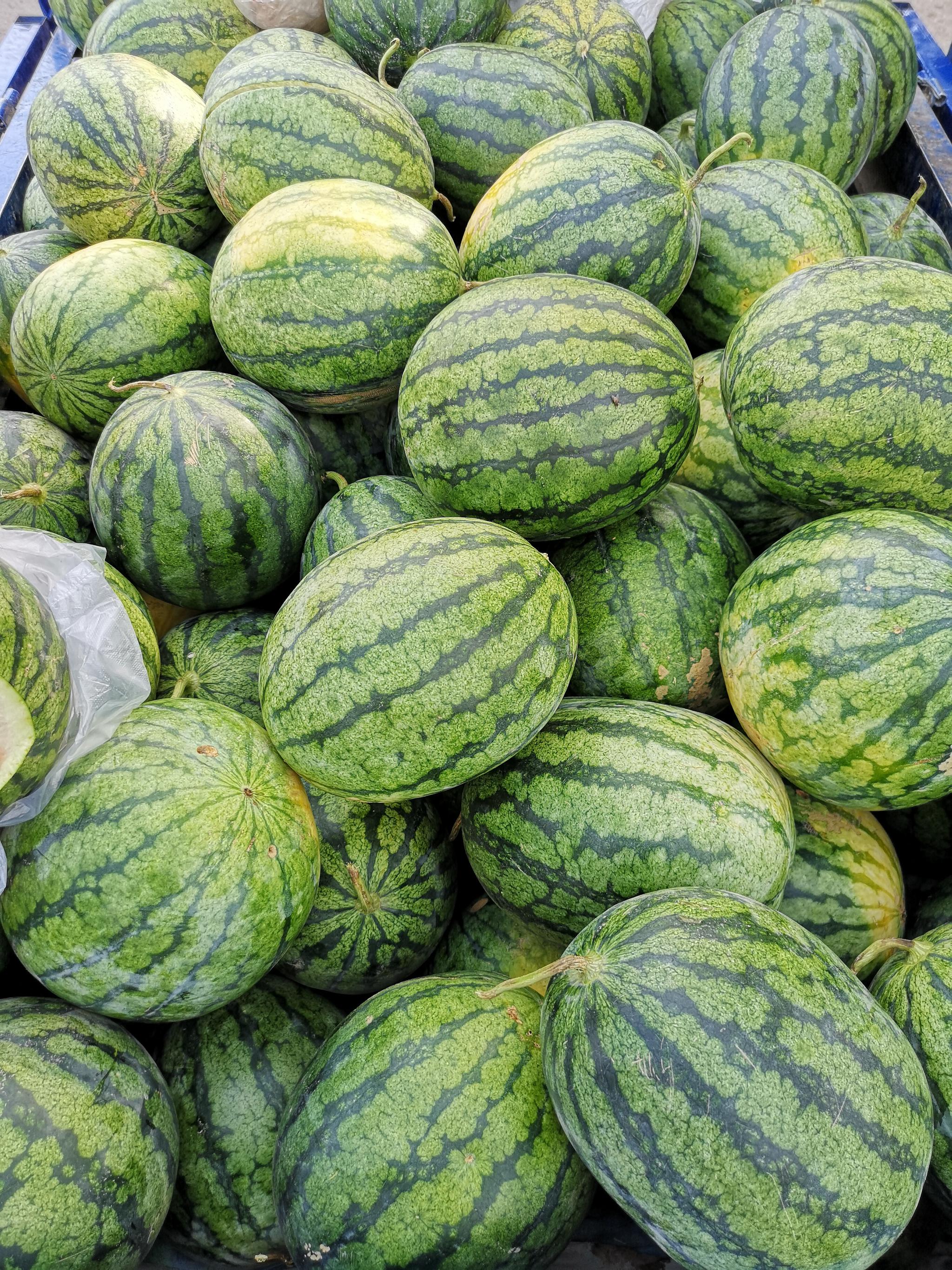 吐鲁番街头地摊卖的西瓜5元一个随便挑