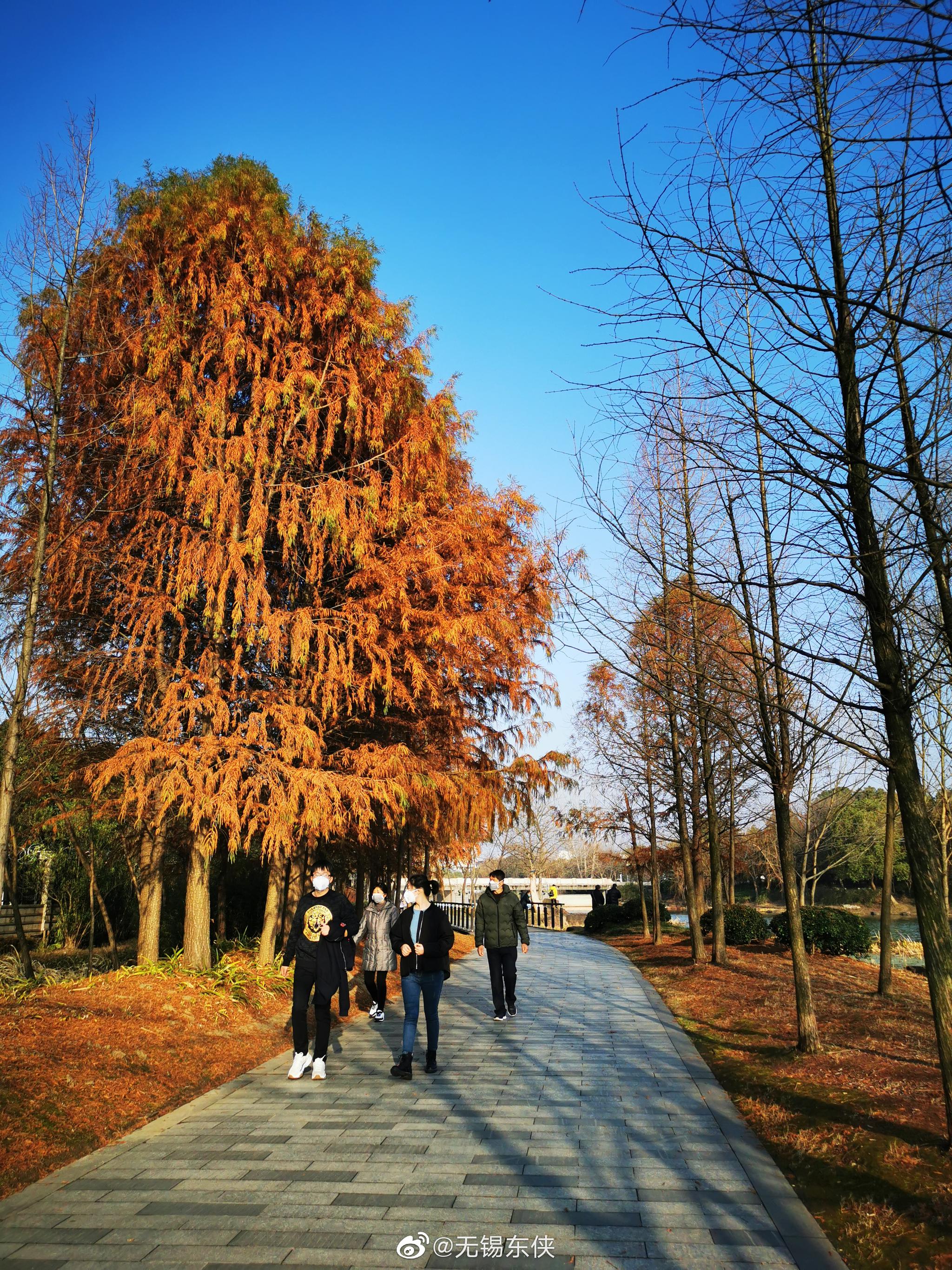 久违的蠡湖边散步,遛狗.尽情呼吸,感受一下大自然的美好.