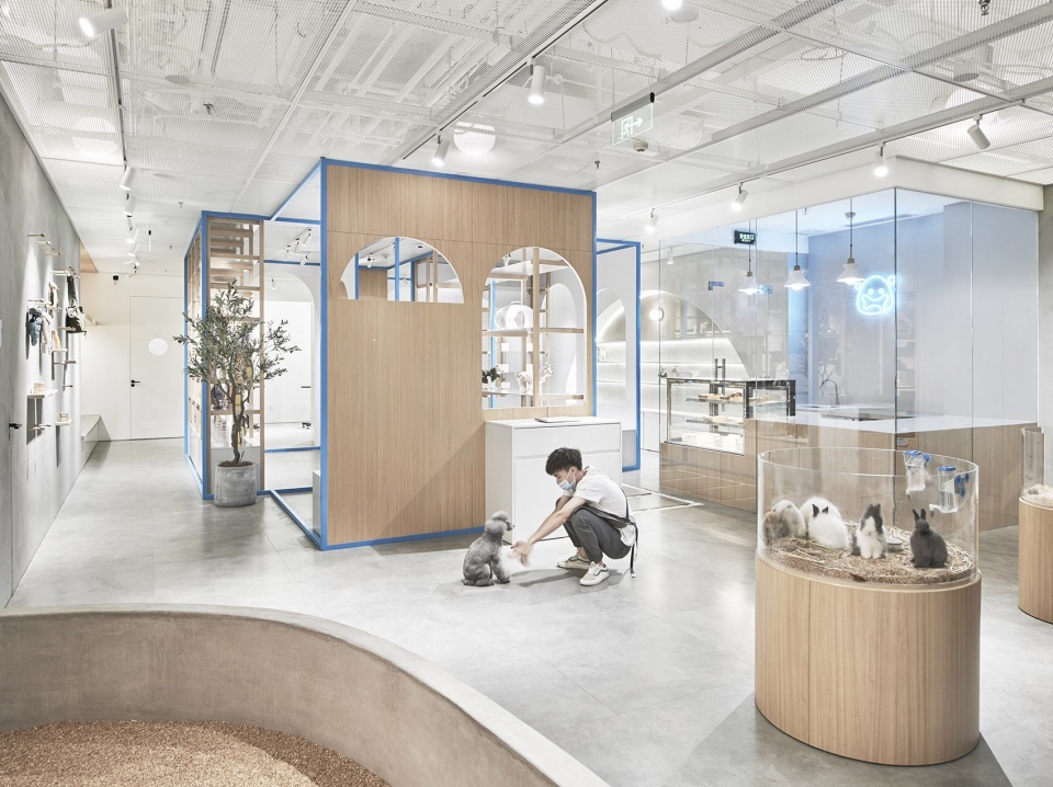 北京,noblepets宠物店