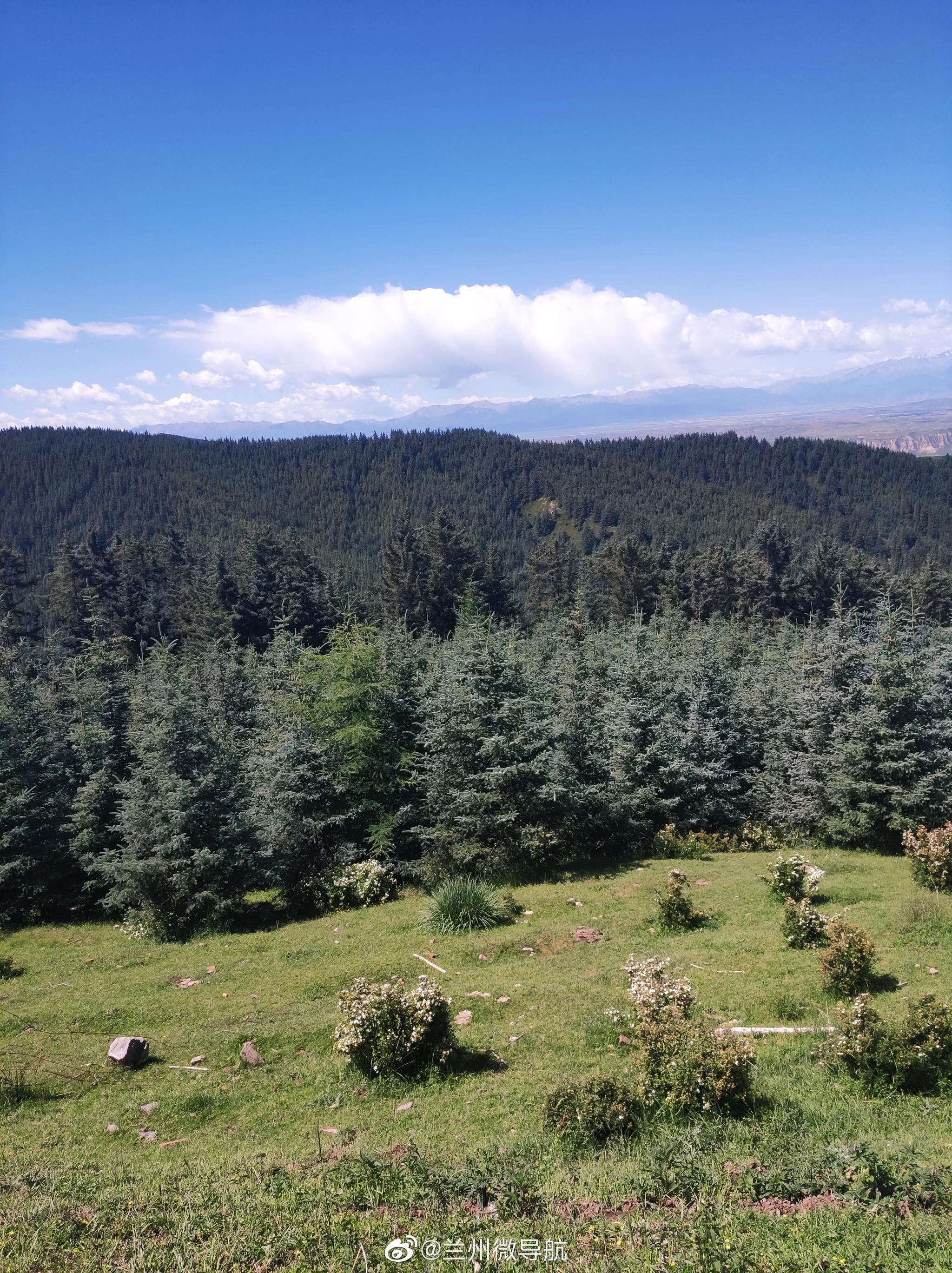 焉支山也叫做胭脂山位于山丹县城东南45公里处