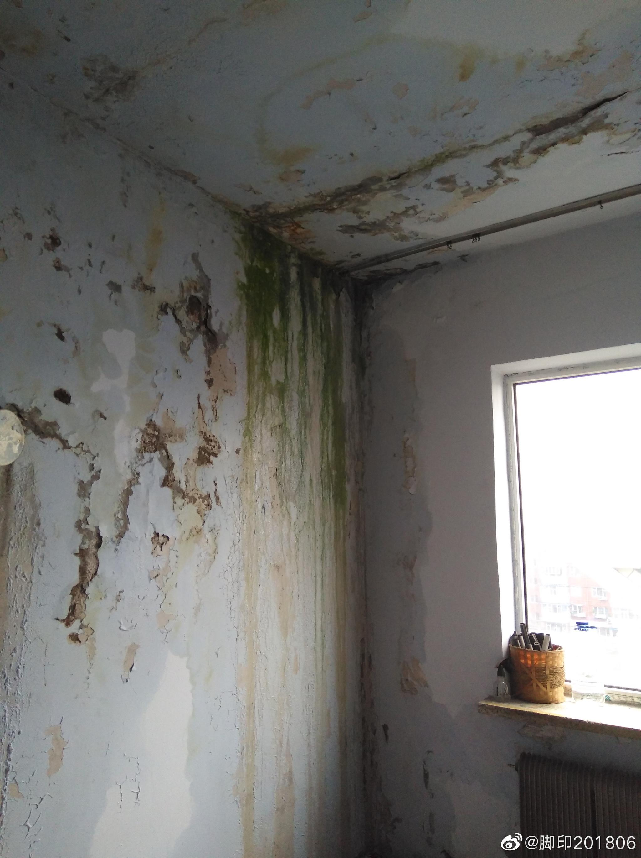 网友:这是我家滨河小区的房子.只要下雨就漏水,冬天过去了