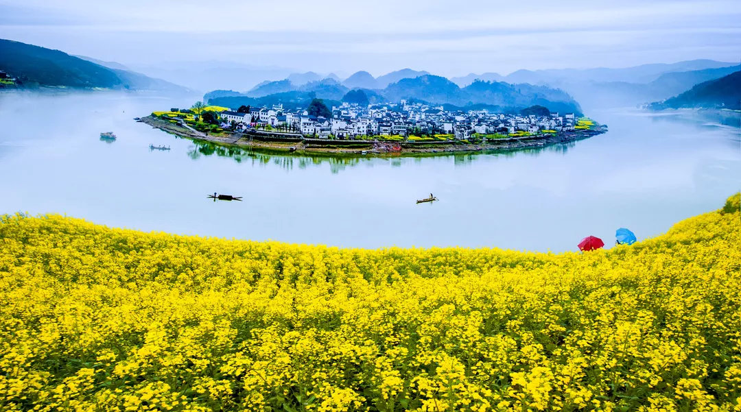 美丽画卷 | 生态环保主题摄影作品展(16)