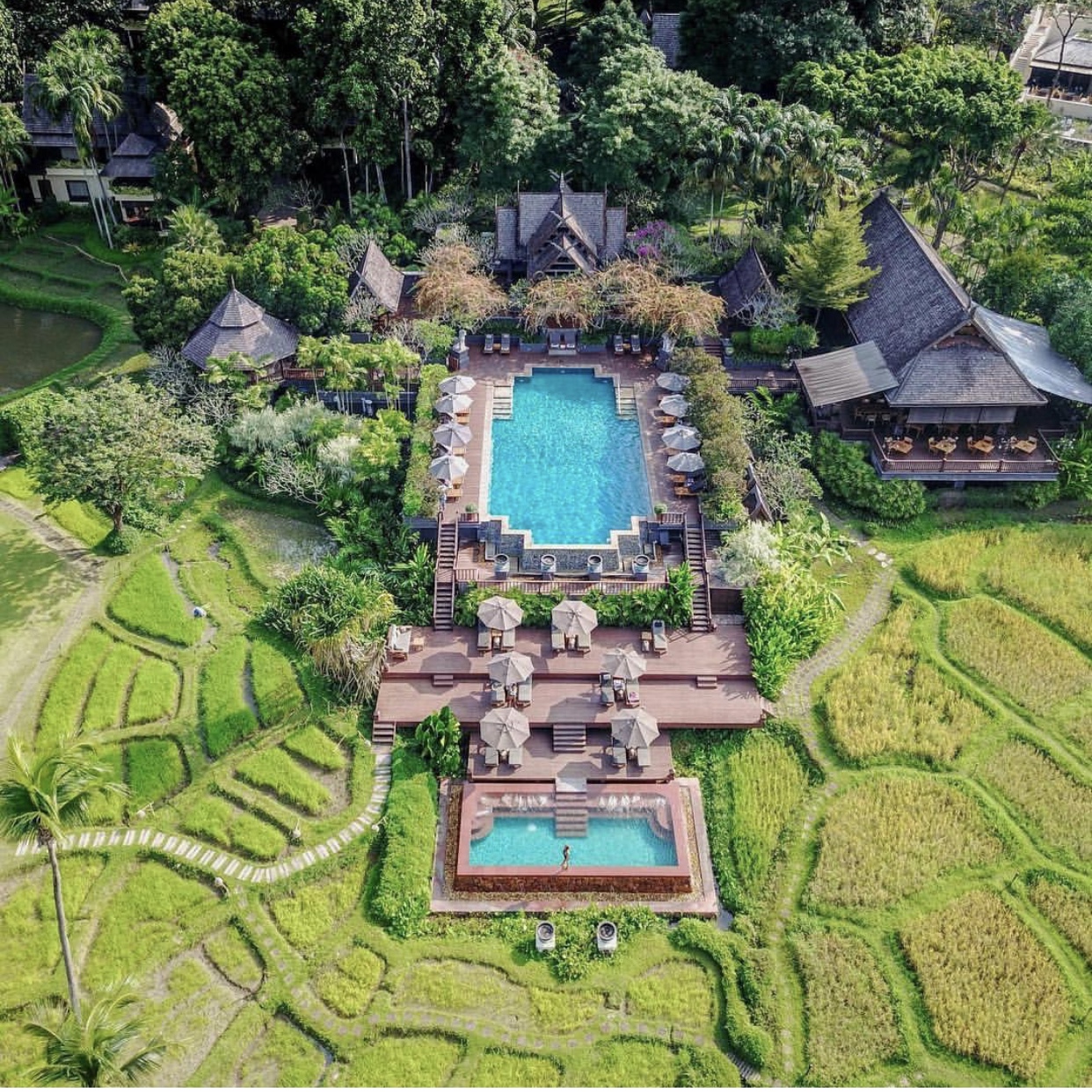 葱郁的山林围绕着一片片青翠的稻田,水牛在稻田中缓慢耕作,乡间小路上