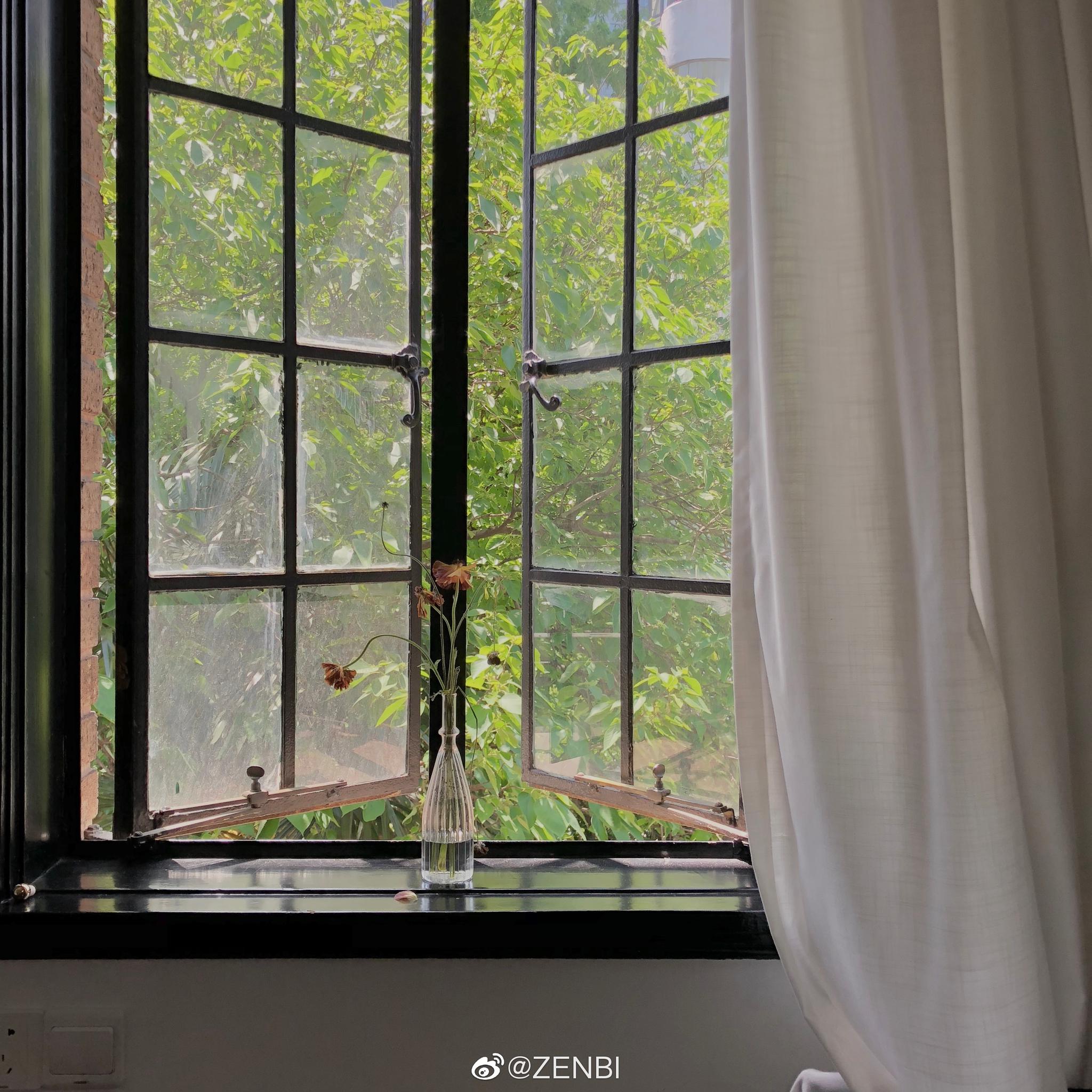 在renee的artroom住的一晚太喜欢上海的老街区醒来看见窗外都是绿