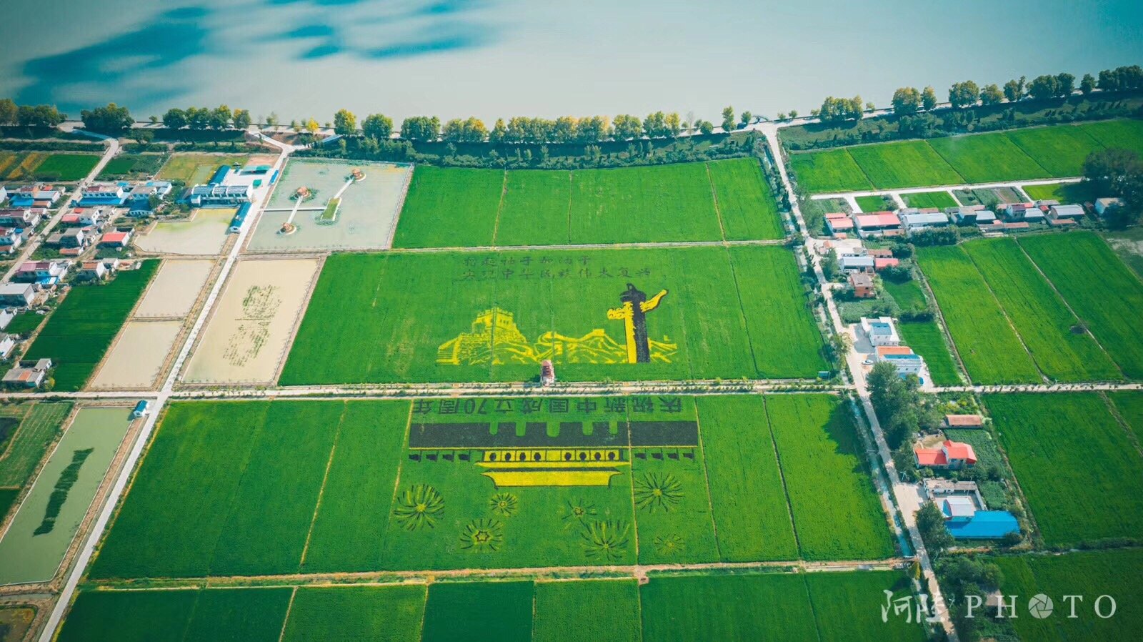 寿县安丰塘稻田画.@阿陆photo