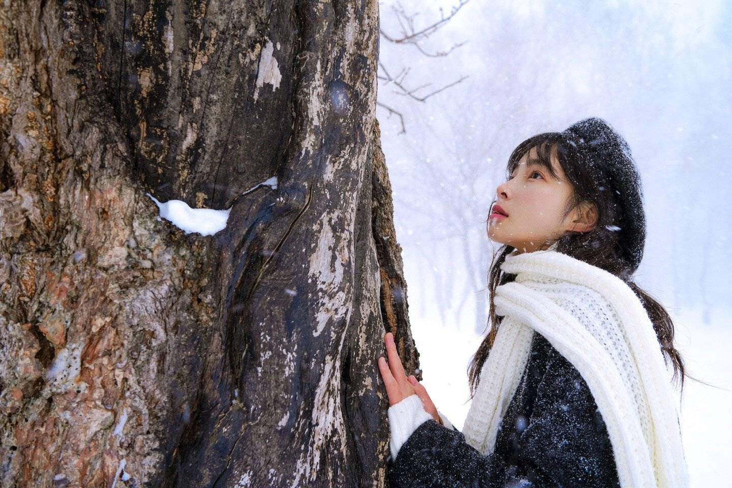 你是否也曾为了寻找藤井树来过这里最长情出镜长岛妹妹