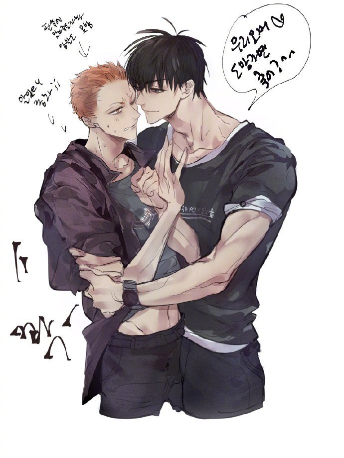 贺顶红的甜蜜日常twi:tianshan_sd