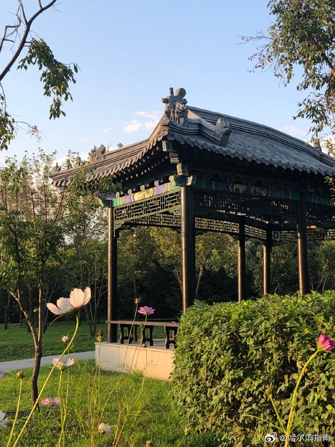 香坊有个挺漂亮的中国亭园,你去过吗