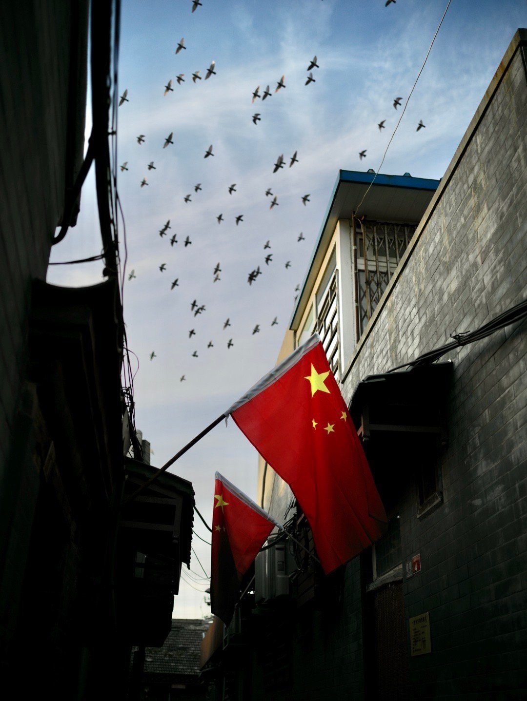 我司编辑带来的一组哈苏 x1d ii 50c   xcd 45 3.5 镜头样张.