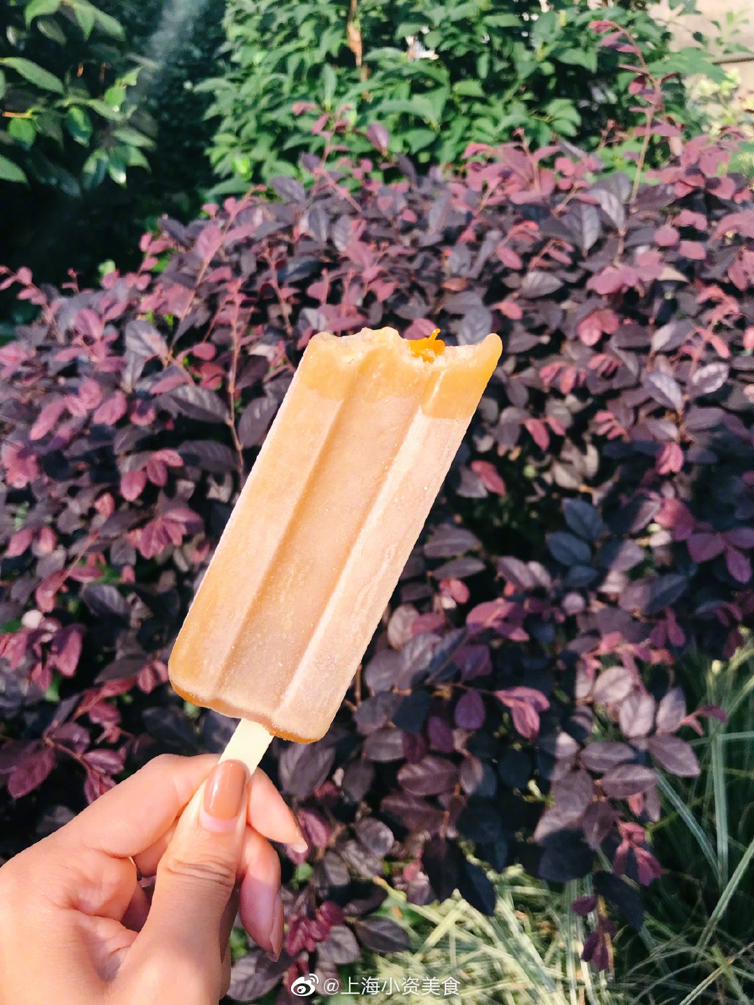 王老吉竟然出了凉茶冰棍!