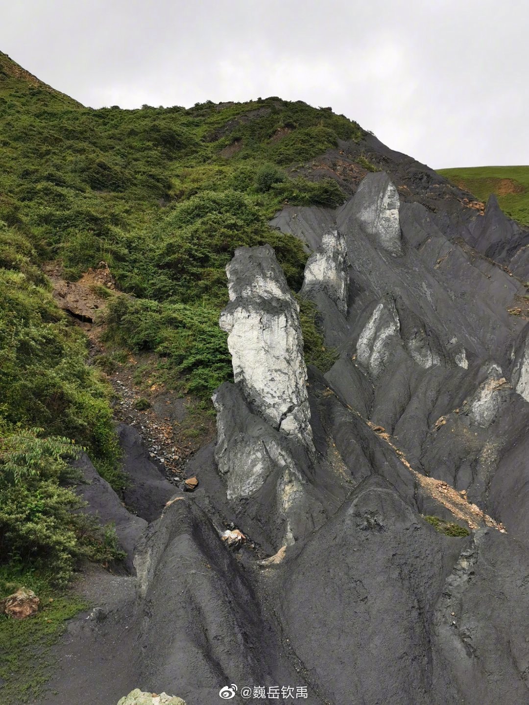 因地壳运动形成的糜棱石林是甘孜一道独特的景观