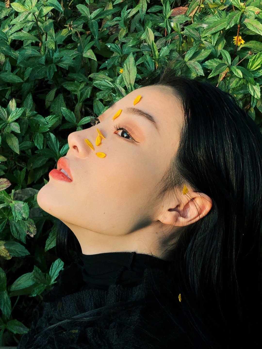 今日拍@逗本逗鸭