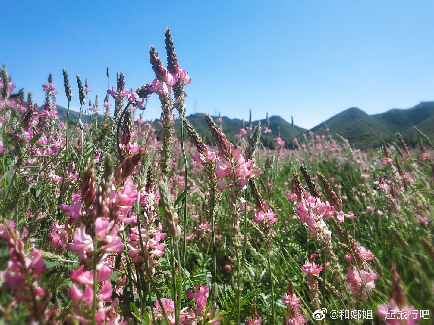 乌鲁木齐石人沟红湾花海水库蝴蝶谷原始景色原始味道