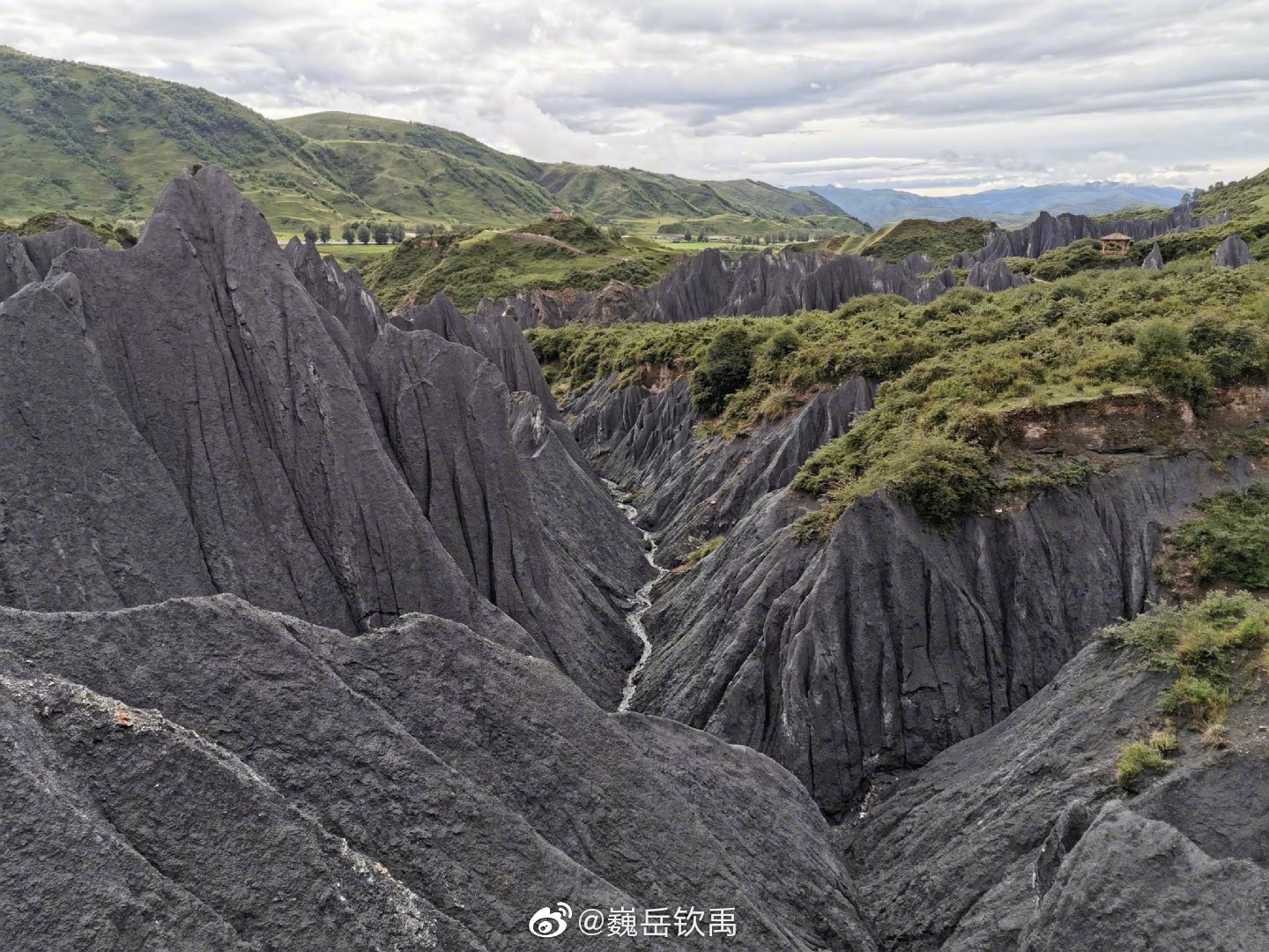 因地壳运动形成的糜棱石林是甘孜一道独特的景观