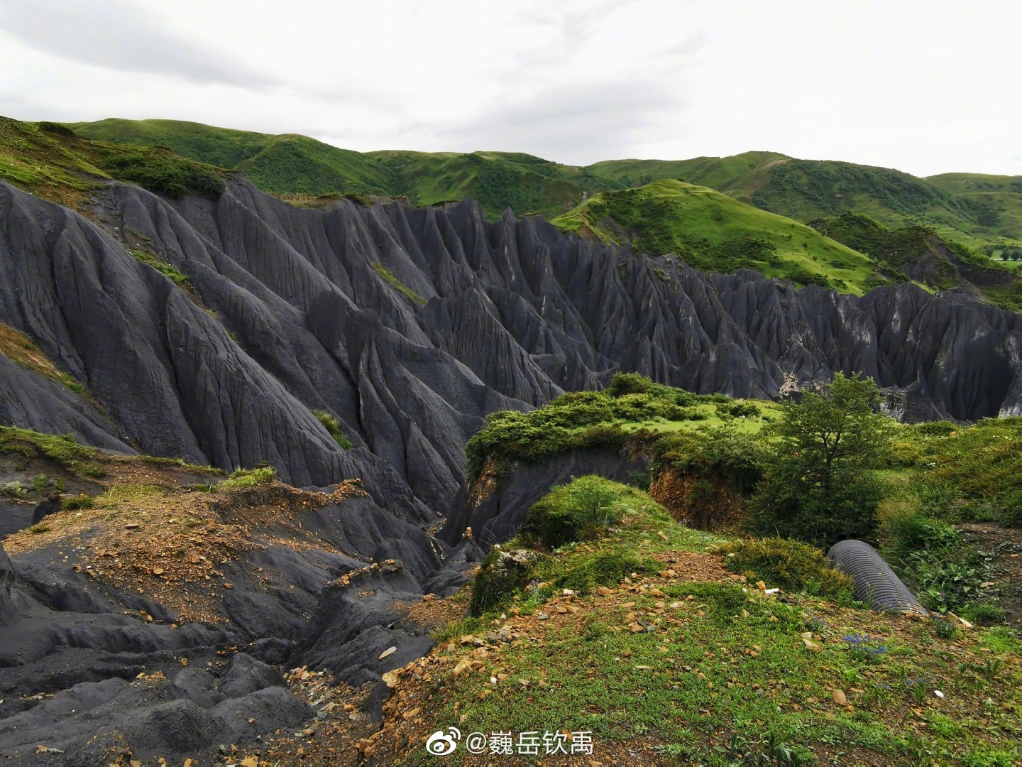 因地壳运动形成的糜棱石林是甘孜一道独特的景观