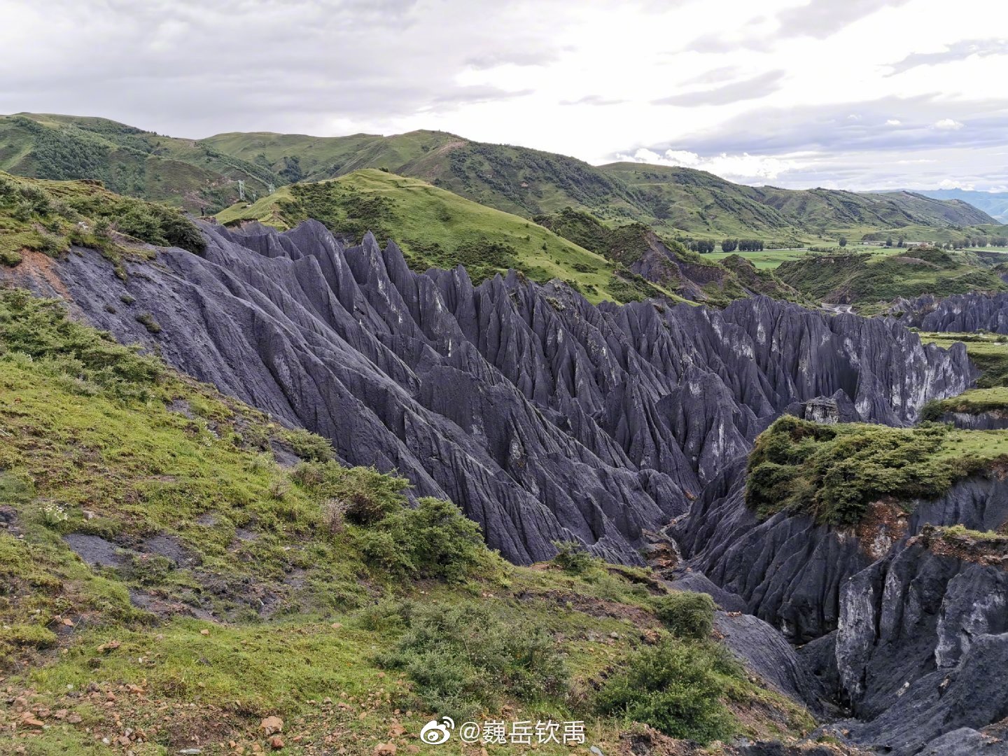 因地壳运动形成的糜棱石林是甘孜一道独特的景观