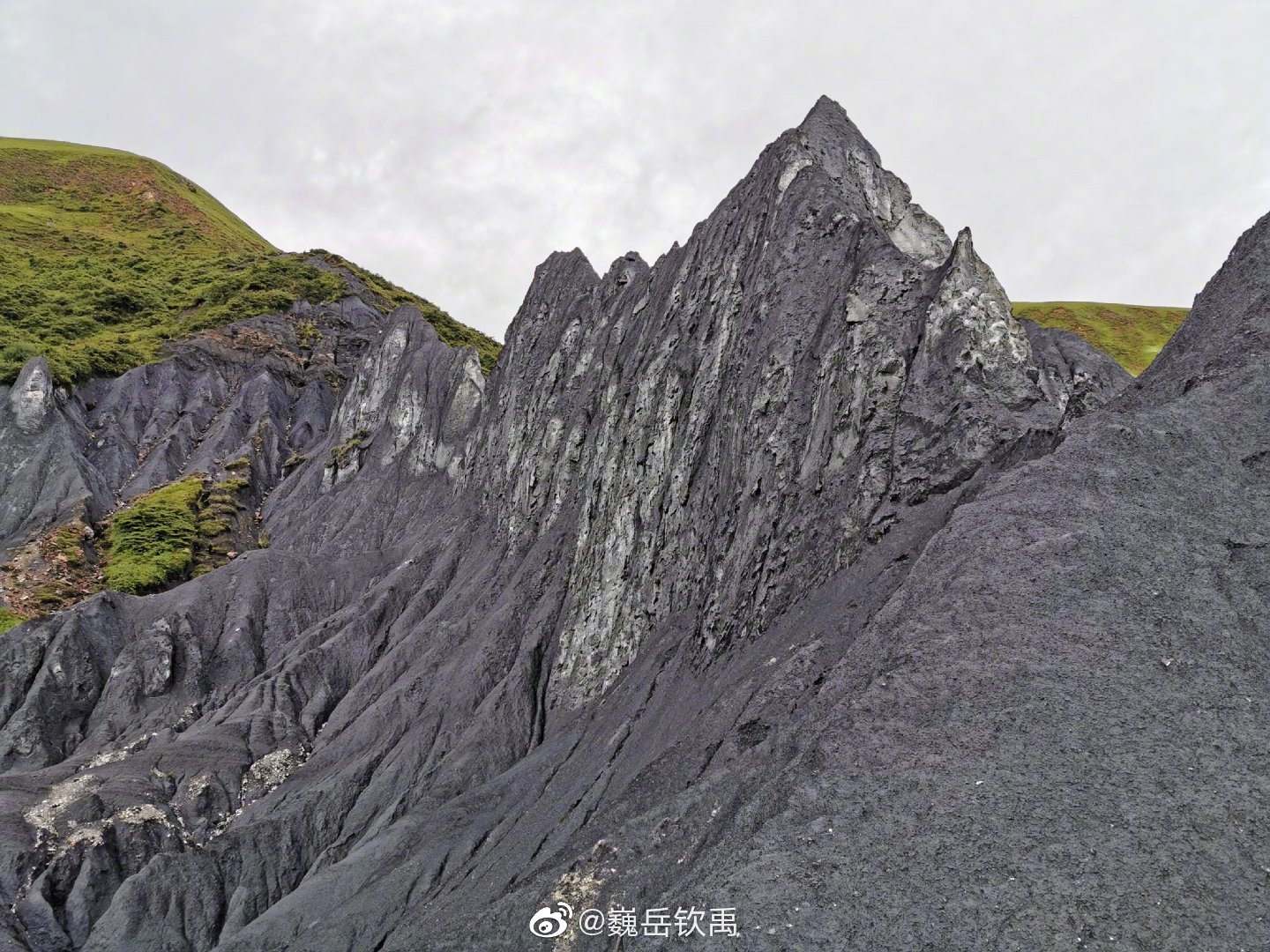 因地壳运动形成的糜棱石林是甘孜一道独特的景观