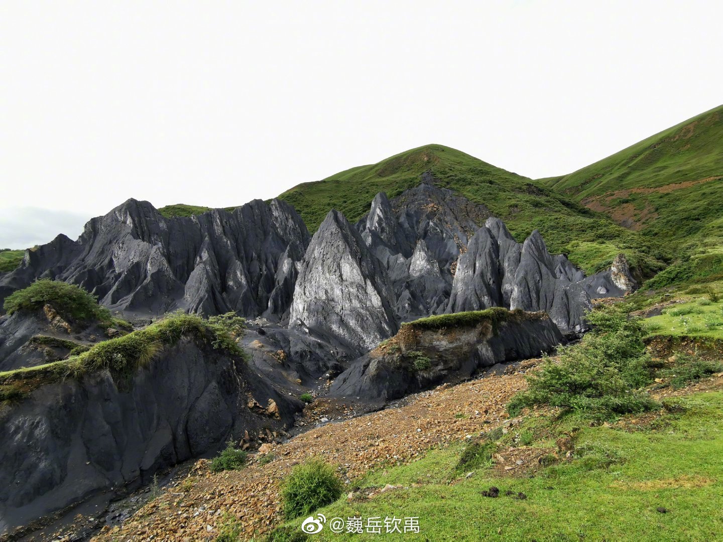 因地壳运动形成的糜棱石林是甘孜一道独特的景观