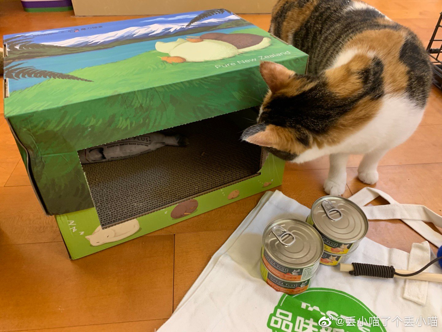 get到了首个国家联名的猫盒