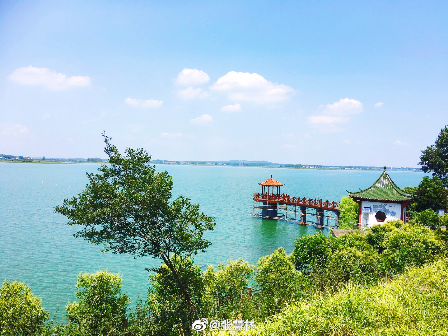 南京六合金牛湖|金牛湖|谐趣|野鸭_新浪新闻