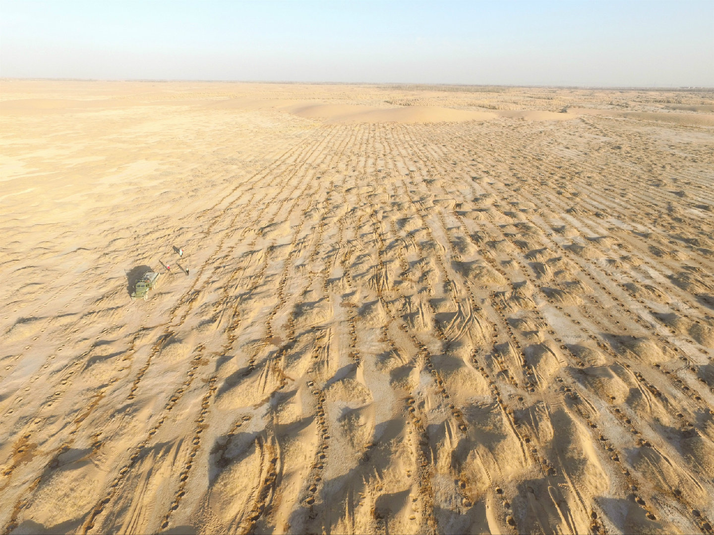 在我国,每年土地退化,沙化面积以3000多平方公里的速度扩展