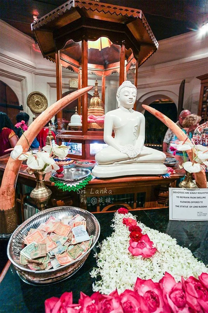 斯里兰卡|康提湖|佛牙_新浪网