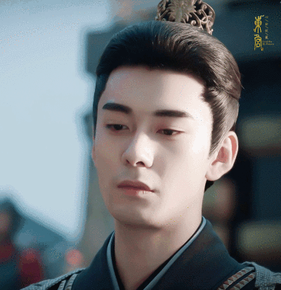 没看过小说不要紧,宝贝们只要知道傅慎行跟电视剧《东宫》里的李承鄞