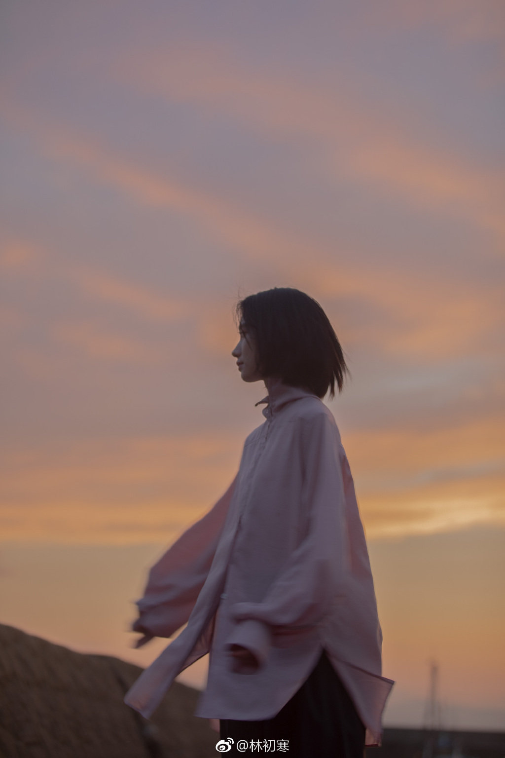 惊了这个黄昏林初寒