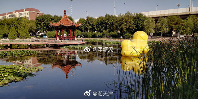 网友@津塘叟 途径天津塘沽和平路儿童公园,用手机随拍了几张照片