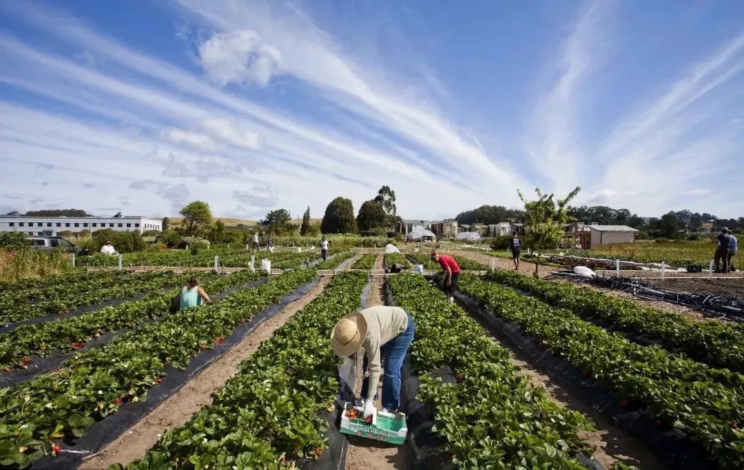 国务院将"社区养老服务"定为标配,田园康养业迎来新机遇