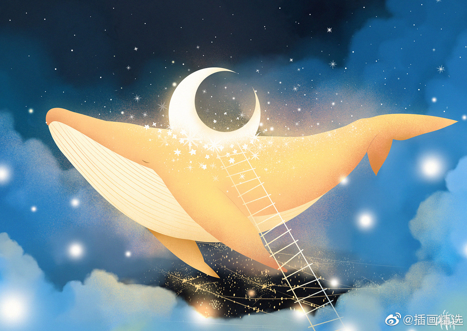星光里的鲸鱼插画师hatmong