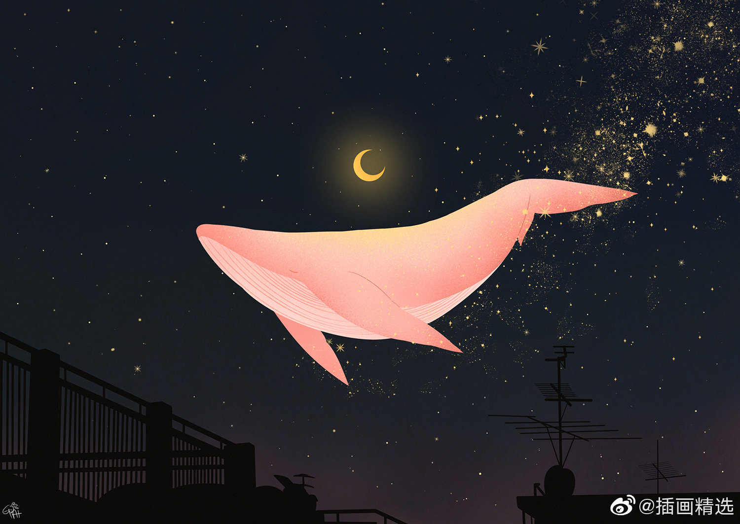 星光里的鲸鱼插画师hatmong