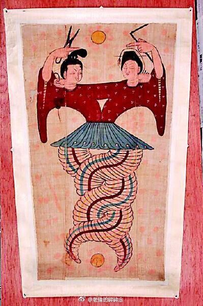 女娲到家暗号大全：新手入门必备指南