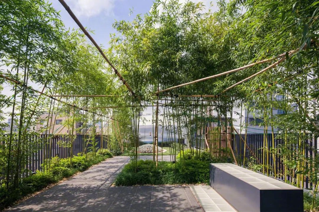 东京无缘寺回向院,位于东京墨田区的两国站|墨田