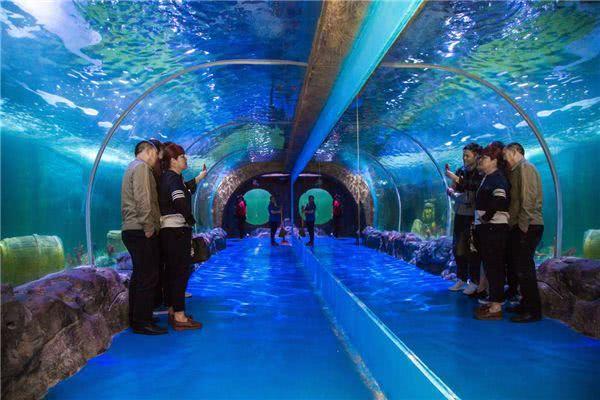 中国旅游景区大全之海南海口海之语海洋世界