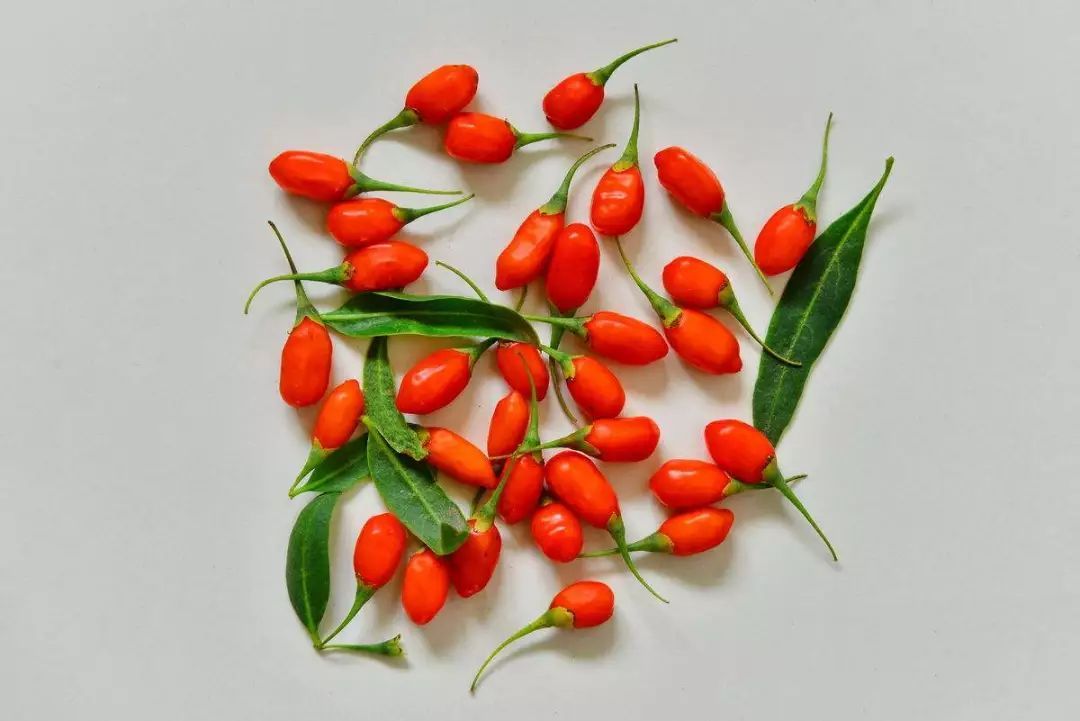 青龙枸杞(青枸杞功效)