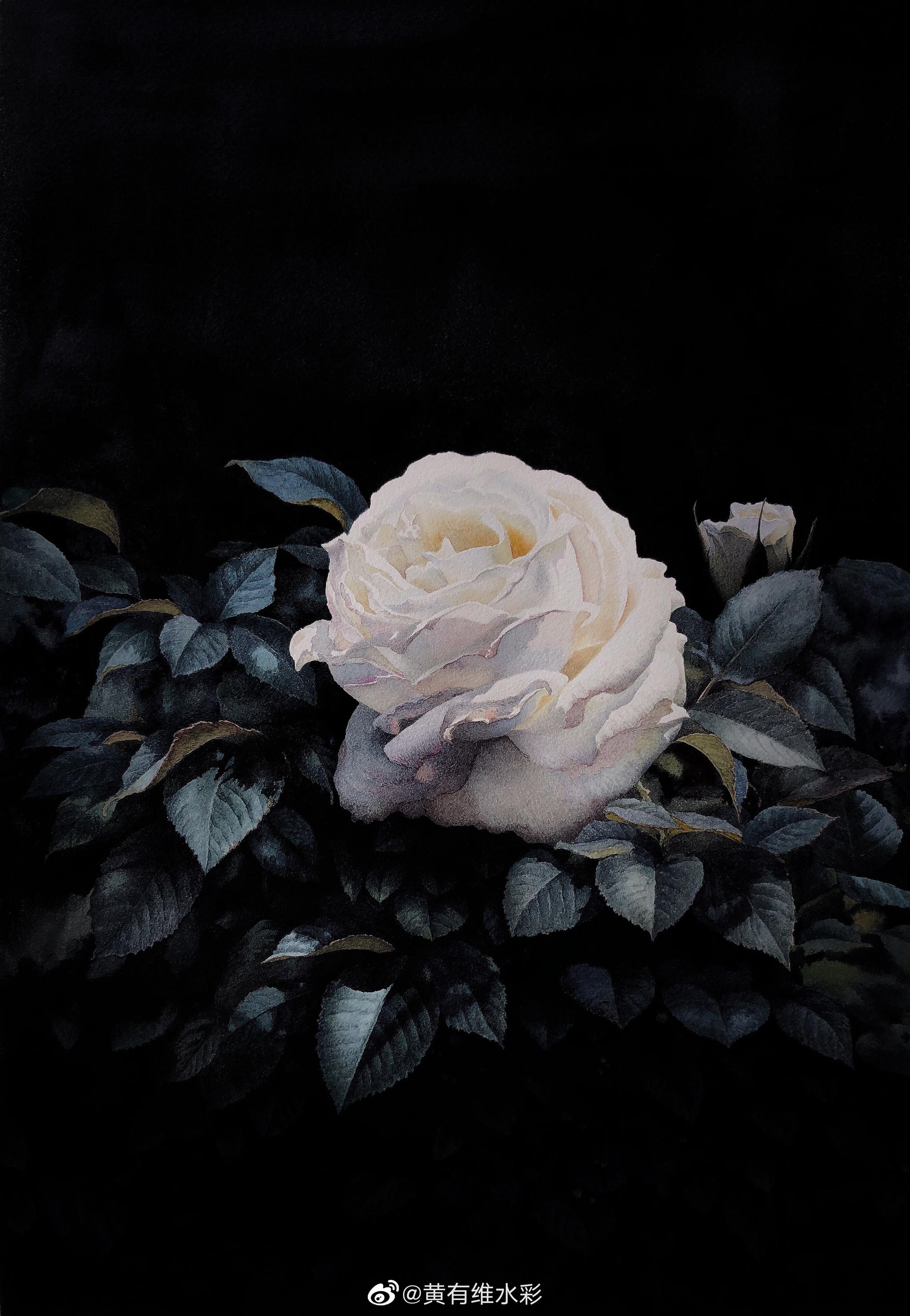 玫瑰之约与名家同行2019黄有维水彩艺术展暨训练营画展参展