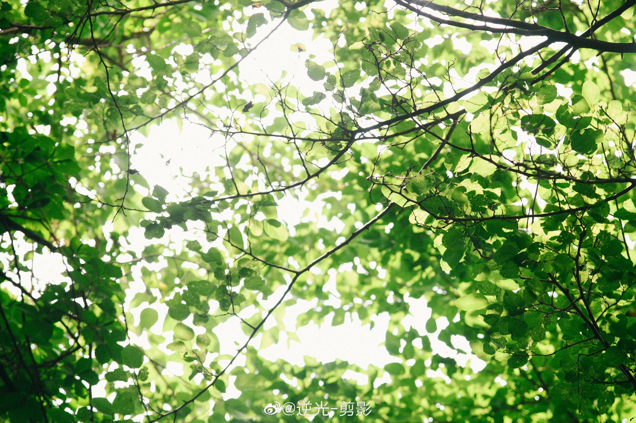 一些关于夏天的画面出镜heidi朵儿逆光剪影