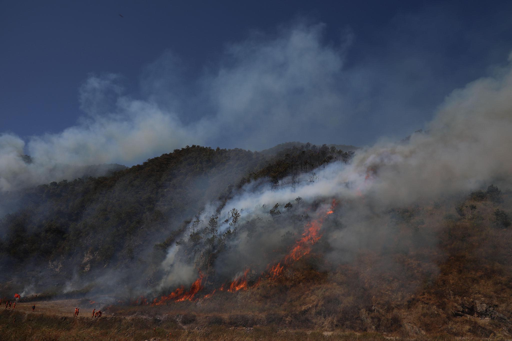 7名消防员在四川森林大火中死里逃生,灭火装备被烧毁|凉山州|消防员