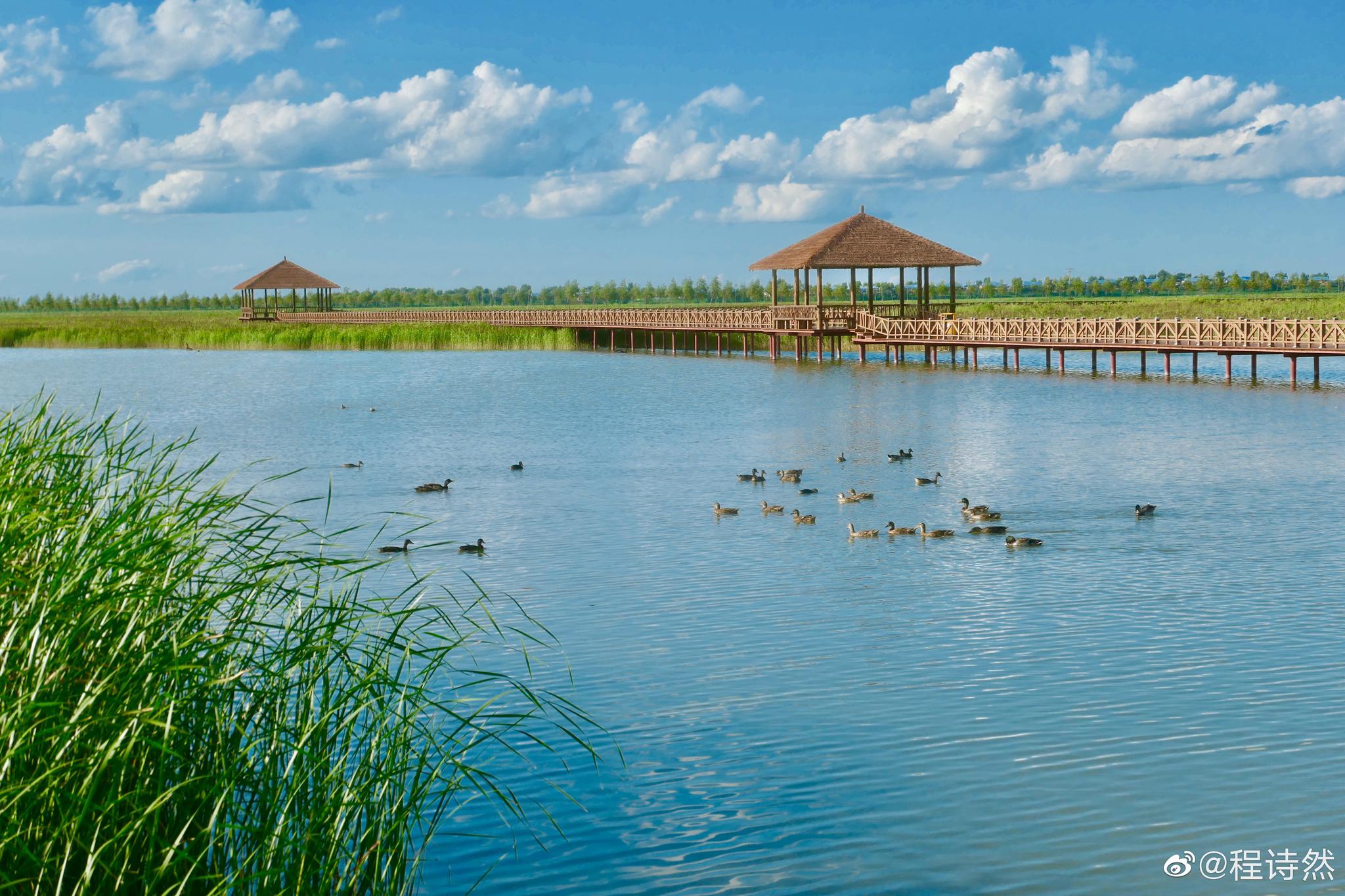 2021野鸭湖国家湿地公园-旅游攻略-门票-地址-问答-游记点评，北京旅游旅游景点推荐-去哪儿攻略