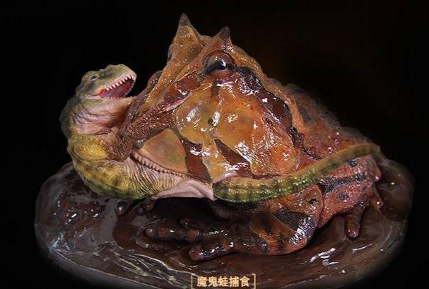 这种青蛙被叫做魔鬼蛙,长有牙齿身披护甲重达10斤,小恐龙最怕它