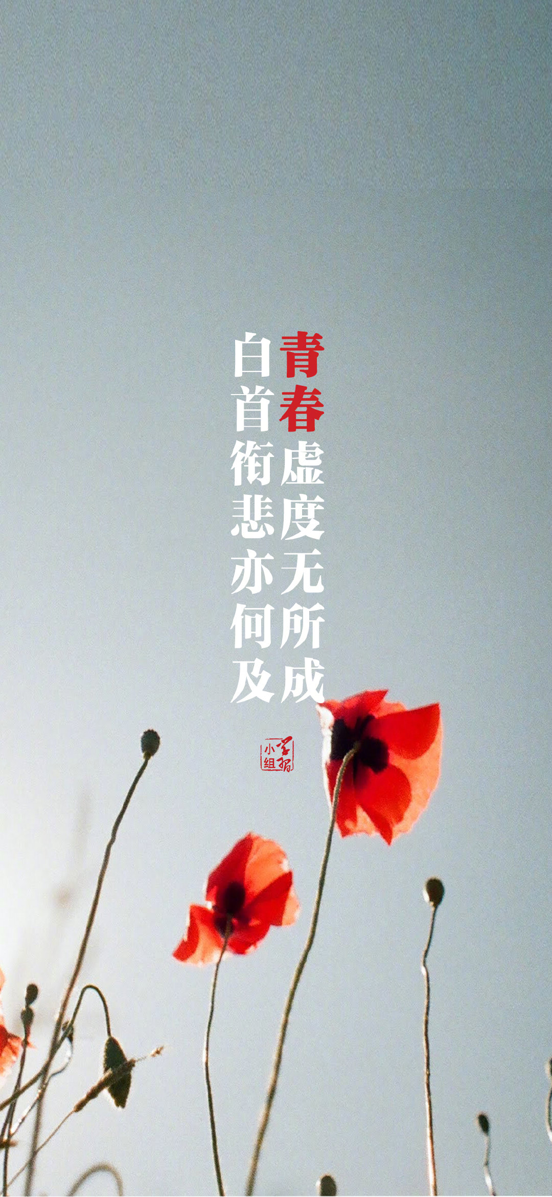 精美壁纸第三弹!各位青年,这组青春金句壁纸送给你们